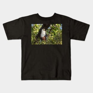 African Fish Eagle, Chobe River, Botswana Kids T-Shirt